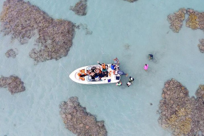 1-day diving tour in Perobas/RN - Leaving from Natal - Photo 1 of 6