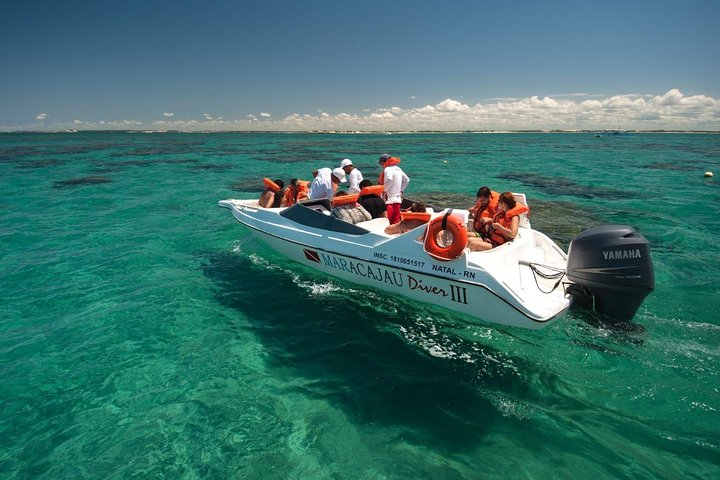 1-Day Tour to Maracajaú - From Natal (Optional Speedboat) - Photo 1 of 6