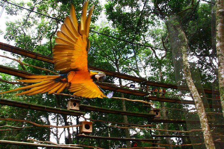 Bird Park 