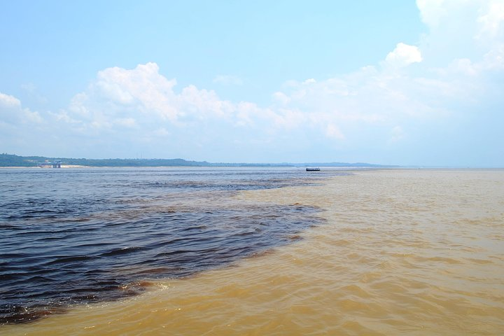 Amazon Negro River Half-Day Expedition Tour - Photo 1 of 13