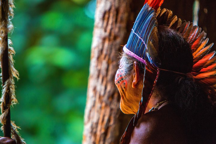 Amazon Rainforest - Private Multi Day Tour - Photo 1 of 14