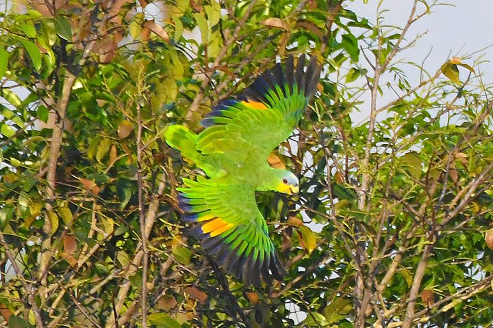 Amazon River Cruise Trip Explore 5D/4N  - Photo 1 of 25