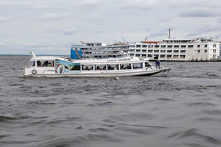 Amazon Safari from Manaus - Photo 1 of 7