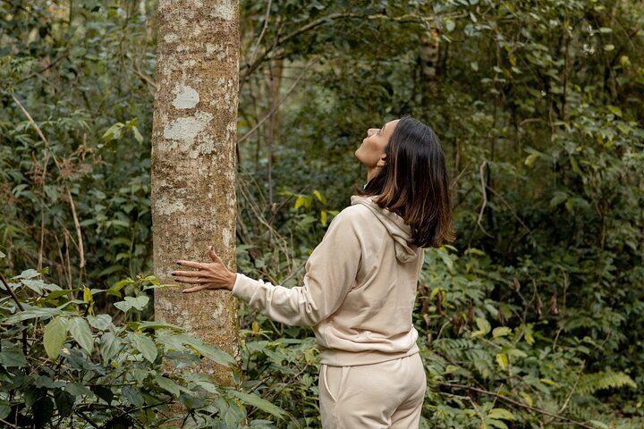 Connection with the trees