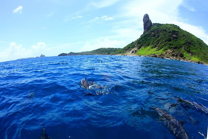 Boat trip in Fernando de Noronha - Photo 1 of 7