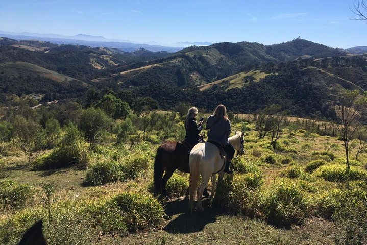 Exclusive Horse Experience with Pic-nic at Belvedere - Photo 1 of 8