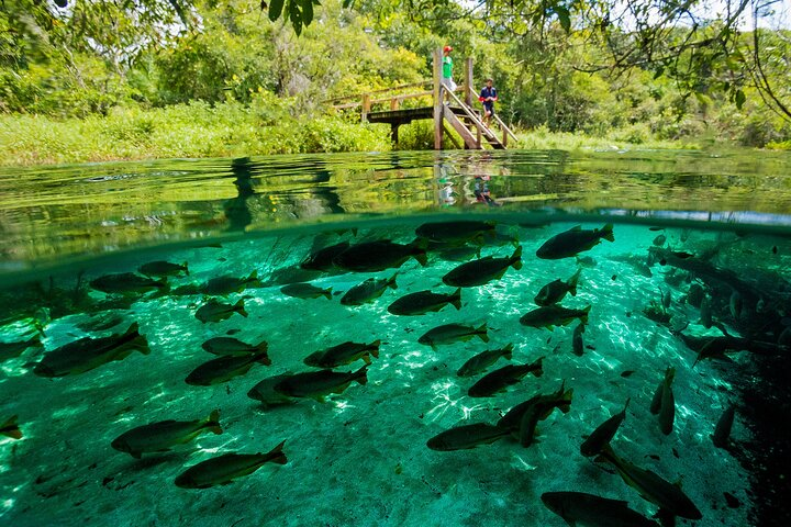 Floating at Sucuri River - Photo 1 of 16