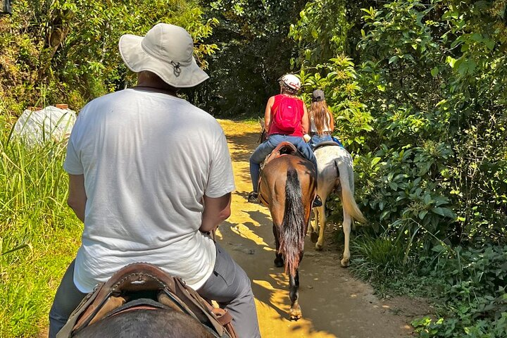 From Paraty: Horseride adventure tour - Photo 1 of 21