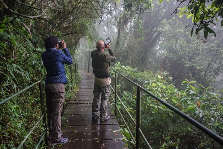 Birding at Serra dos Orgaos National Park