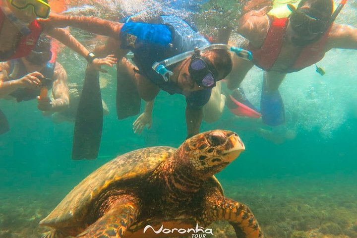 Full Day Guided Tour to Fernando de Noronha Island - Photo 1 of 11