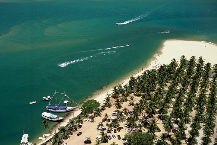 Wander amongst lush coconut groves on the beach