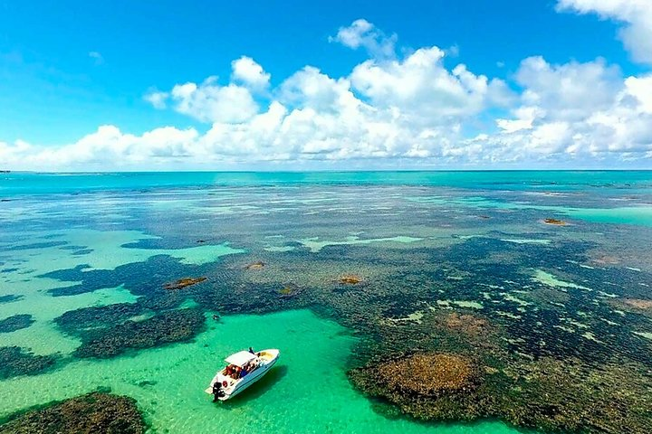 Full-Day Visit to Paripueira Beach and Tide Pools in Maceió - Photo 1 of 15