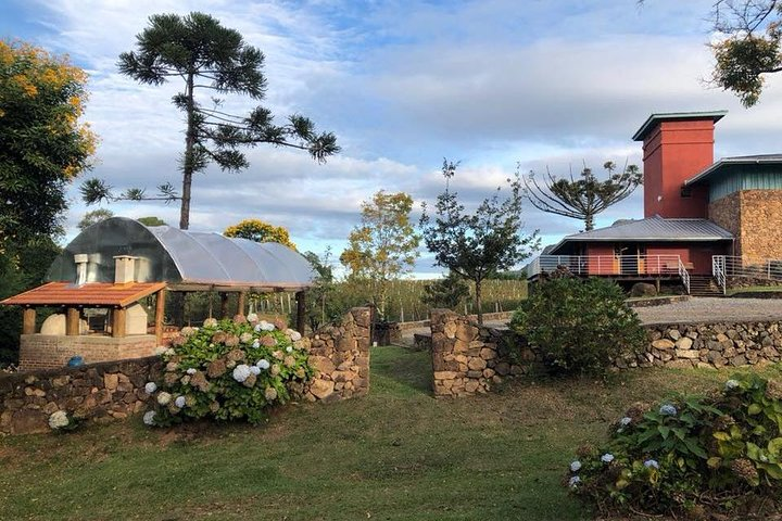 Guided Tour with Wine Tasting at Casa Seganfredo - Gramado - Photo 1 of 13