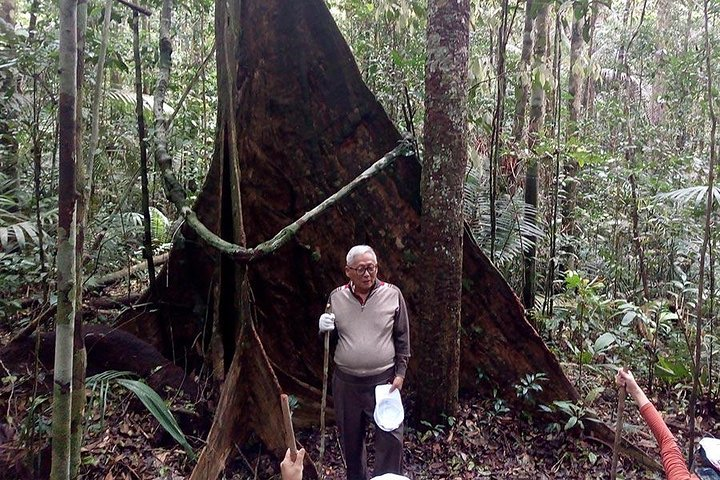 Half Day Tour- Jaguar Jungle Survival - Amazon Rainforest - From Manaus - Photo 1 of 6