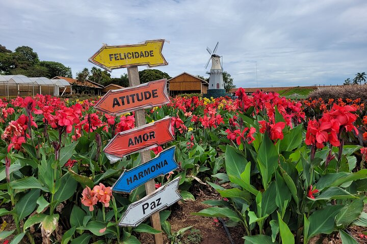 Visit at Flower Farm