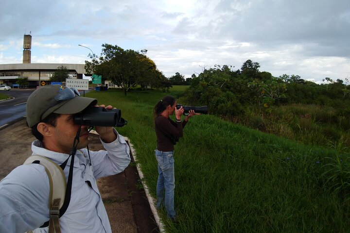 Iguazu Expeditions Morning Birdwatching - Photo 1 of 6