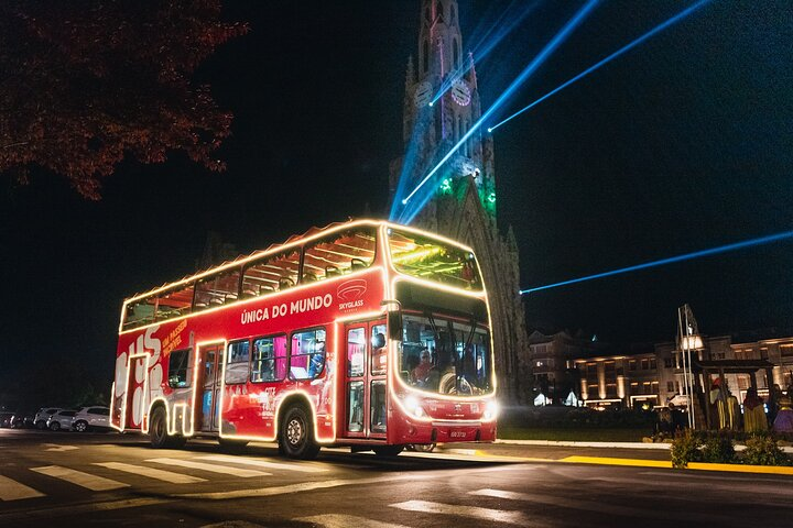 Illumination Bus Tour - Christmas Lights Show - Photo 1 of 17