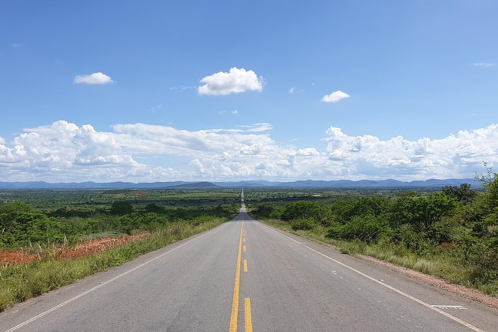 Ivan Bahia offers PRIVATE transferts with FREE WIFI in AIRCONDITIONED vehicles and a driver that speaks your language (English - Français - Nederlands)