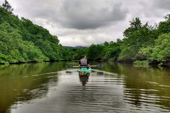 Kayaking to the Islands & mangroves in Paraty - Photo 1 of 25