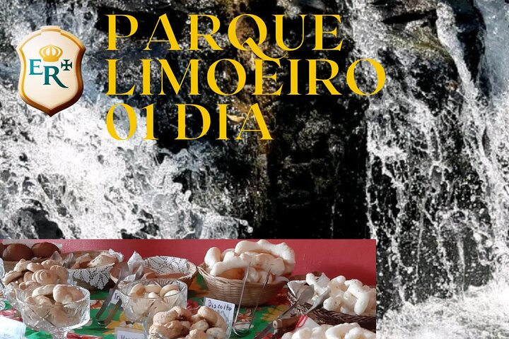 Parque Limoeiro script flyer 01 day