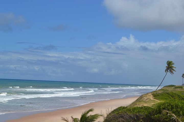 Day Tour Beach Experience Massarandupio