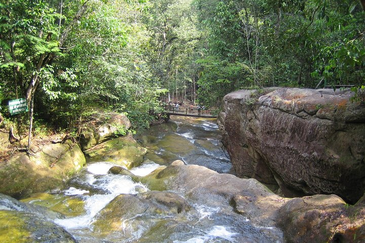 Presidente Figueiredo Waterfalls Day Trip from Manaus - Photo 1 of 7