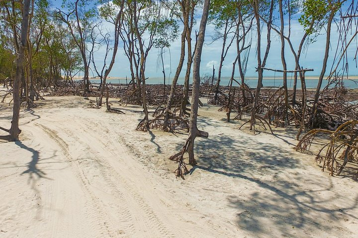 Private Buggy Tour To Mangue Seco - Photo 1 of 8