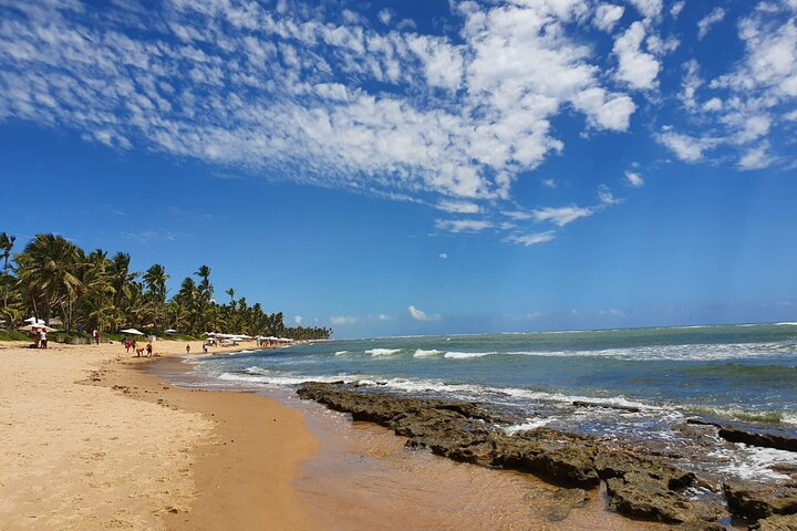 Lots of calm beaches along the coast