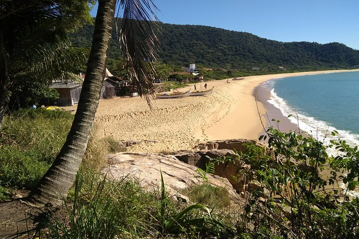 Private Tour: Discover Balneário Camboriú - Leaving Florianópolis - Photo 1 of 25