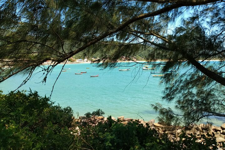 Private Tour: The 7 Most Preserved Beaches on the South Island by Floripa Nativa - Photo 1 of 13