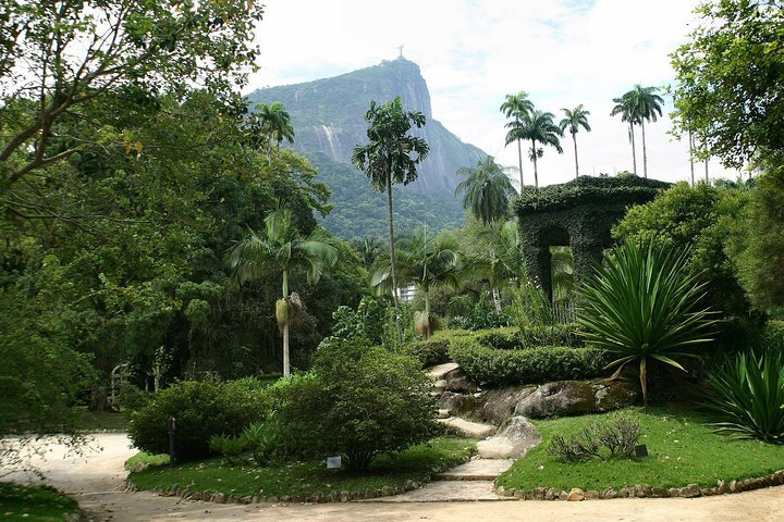 Rio de Janeiro Botanical Garden Tour - Photo 1 of 14