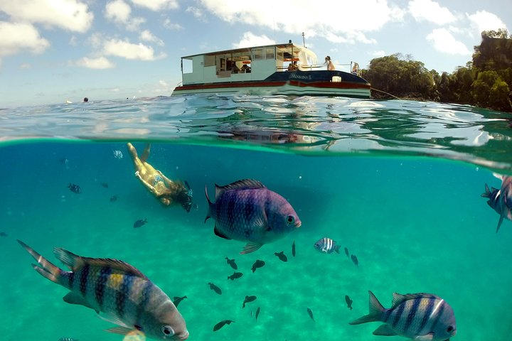 Sancho Bay Swim from Fernando de Noronha - Photo 1 of 10