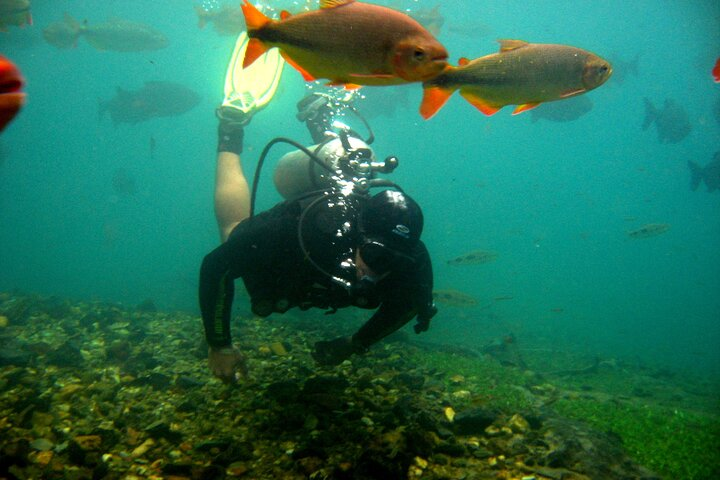 Snorkeling Rio Da Prata Tour - Photo 1 of 8