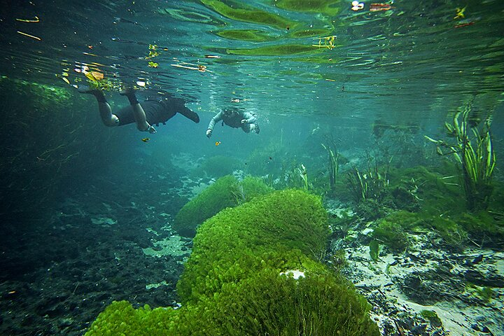 Sucuri River Snorkel Tour - Photo 1 of 7