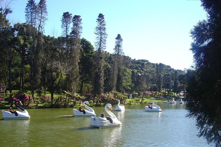 Tour Hortencias cinnamon Private lawn - 1-4 Pax by Fatur Turismo - Photo 1 of 10