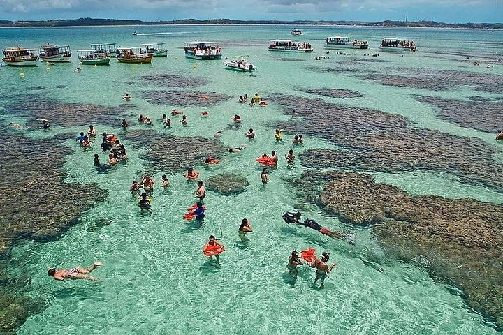 Tour to Maragogi from Maceió, including Natural pools by Edvantur - Photo 1 of 7