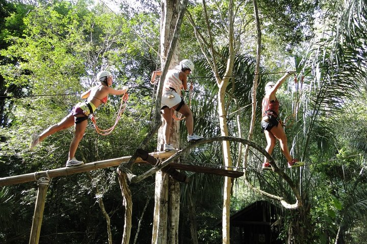 Tree Climbing In Bonito - Photo 1 of 7