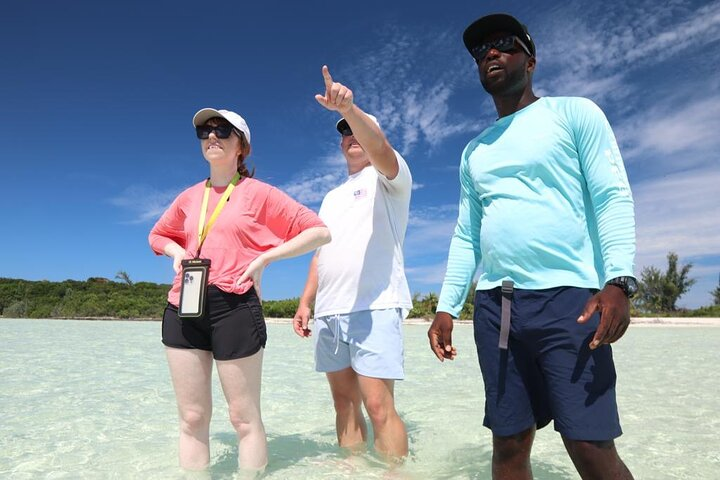 3 Hours Guided Great Exuma ATV Tour - Photo 1 of 25