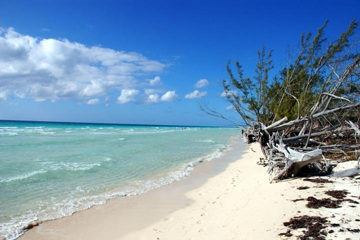 Gold Rock Beach at the Lucayan National Park