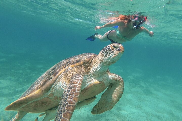 Half-Day at Green Cay Bahamas Snorkeling with Turtles - Photo 1 of 6