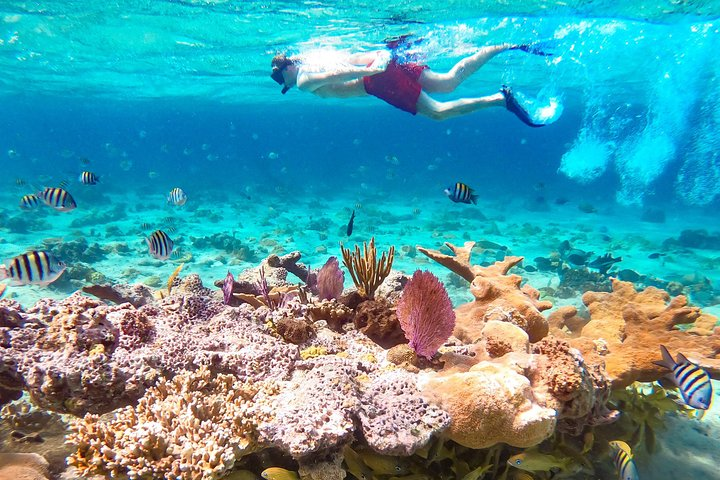 Snorkeling Adventure