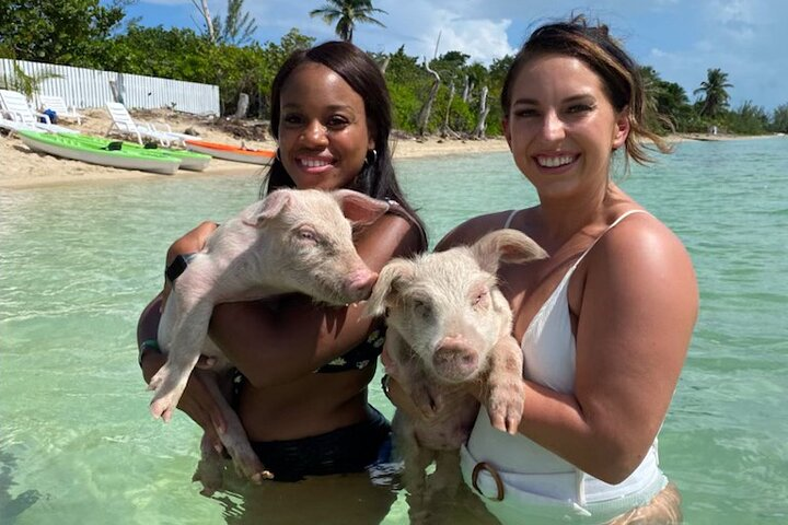 Swim with the Pigs and Explore Caves in Nassau - Photo 1 of 11