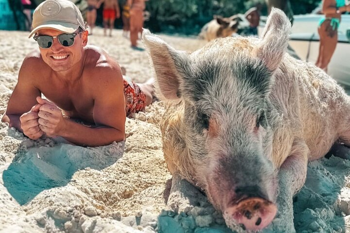 Swimming Pigs Exuma Private Tour (8hrs) - Photo 1 of 7