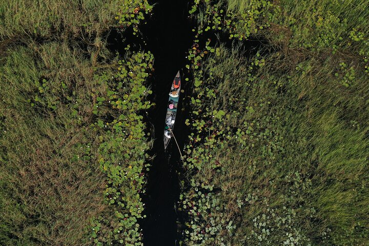 1 Day Okavango Delta Mokoro/Canoe Daytrip - Photo 1 of 10