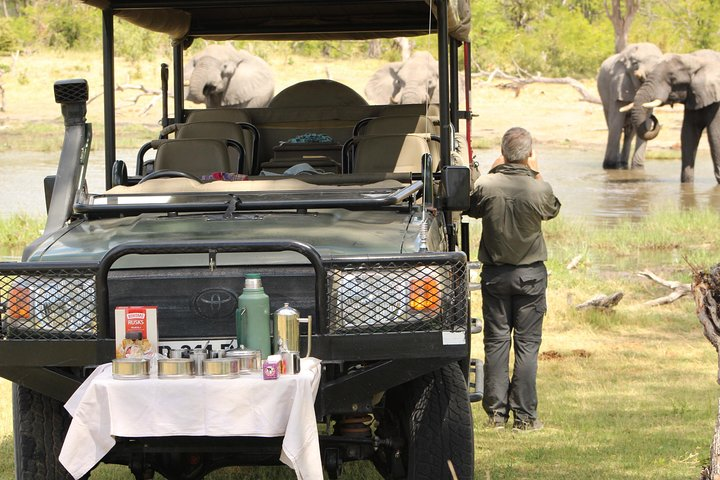 Tea Time Break,Khwai Moremi Game Reserve.