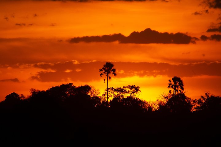 16 Days Botswana's Finest Safari Experience - Photo 1 of 12