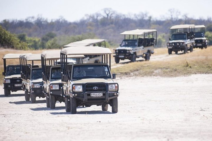 2 Days 2 Nights Camping Safari in Chobe National Park - Photo 1 of 16