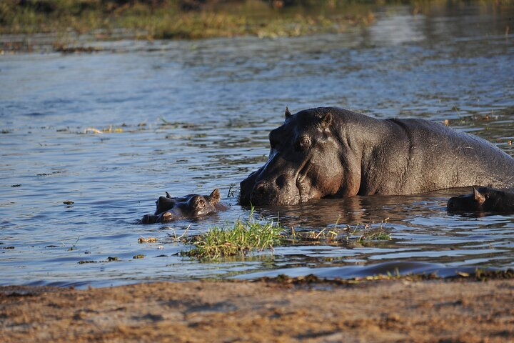 2 nights 3 days Overnight Mokoro Trail Okavango delta - Photo 1 of 7