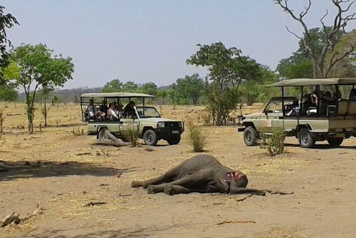 2 Nights Chobe National Park Camping Safari - Photo 1 of 25