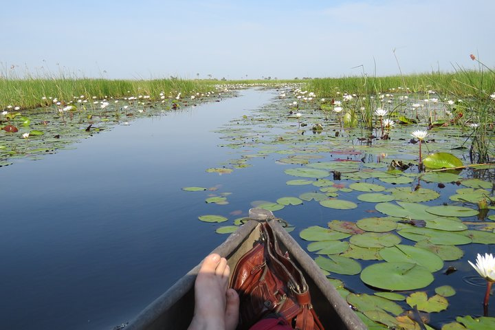 2 Nights Okavango Delta Mokoro WildCamping Tour, all-inclusive - Photo 1 of 16